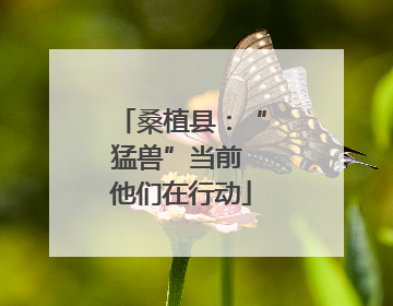 桑植县：“猛兽”当前 他们在行动