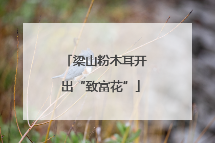梁山粉木耳开出“致富花”