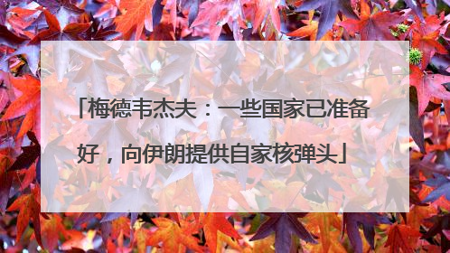 梅德韦杰夫：一些国家已准备好，向伊朗提供自家核弹头