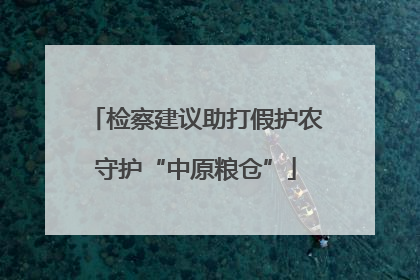 检察建议助打假护农守护“中原粮仓”