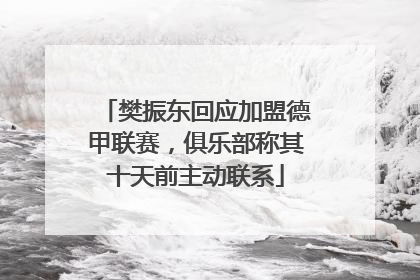 樊振东回应加盟德甲联赛，俱乐部称其十天前主动联系