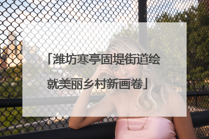 潍坊寒亭固堤街道绘就美丽乡村新画卷