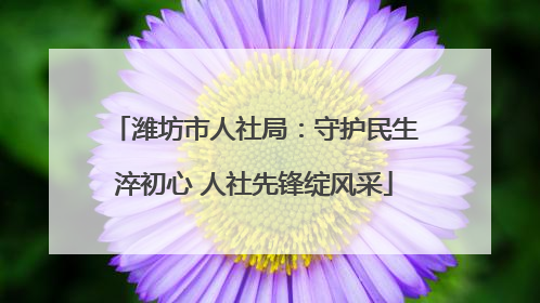潍坊市人社局：守护民生淬初心 人社先锋绽风采