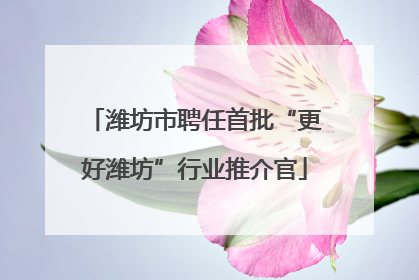 潍坊市聘任首批“更好潍坊”行业推介官