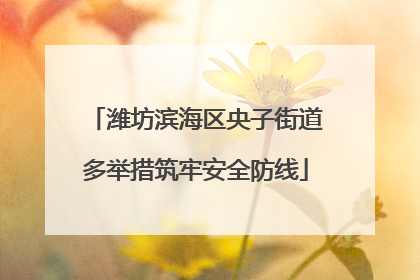 潍坊滨海区央子街道多举措筑牢安全防线