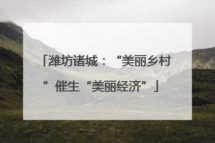 潍坊诸城：“美丽乡村”催生“美丽经济”