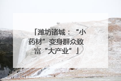 潍坊诸城：“小药材”变身群众致富“大产业”