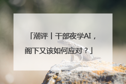 潮评丨干部夜学AI，阁下又该如何应对？