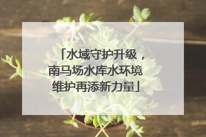 水域守护升级，南马场水库水环境维护再添新力量