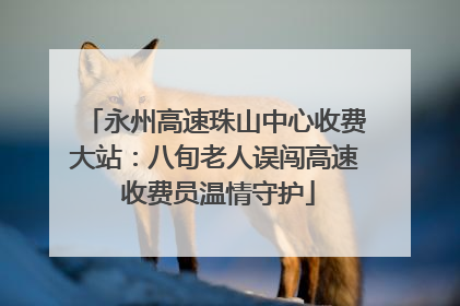 永州高速珠山中心收费大站：八旬老人误闯高速 收费员温情守护