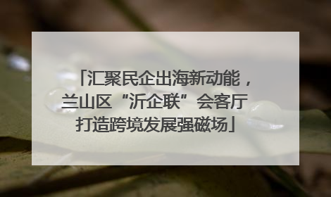 汇聚民企出海新动能，兰山区“沂企联”会客厅打造跨境发展强磁场