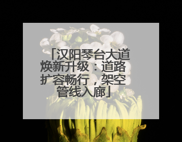汉阳琴台大道焕新升级：道路扩容畅行，架空管线入廊