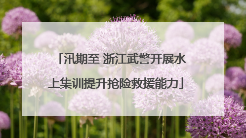 汛期至 浙江武警开展水上集训提升抢险救援能力