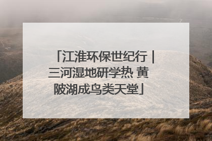 江淮环保世纪行｜三河湿地研学热 黄陂湖成鸟类天堂