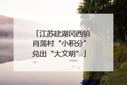 江苏建湖冈西镇肖荡村“小积分”兑出“大文明”