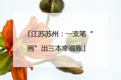 江苏苏州：一支笔“画”出三本幸福账