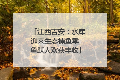 江西吉安：水库迎来生态捕鱼季 鱼跃人欢获丰收
