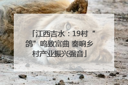江西吉水：19村“鸽”鸣致富曲 奏响乡村产业振兴强音