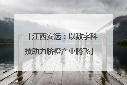 江西安远：以数字科技助力脐橙产业腾飞