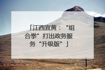 江西宜黄：“组合拳”打出政务服务“升级版”
