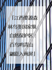 江西婺源森林鸟类国家级自然保护区：百鸟鸣青山 翩跹入画屏