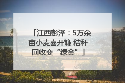 江西彭泽：5万余亩小麦喜开镰 秸秆回收变“绿金”