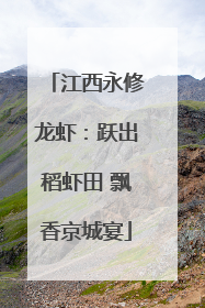 江西永修龙虾：跃出稻虾田 飘香京城宴