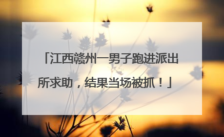 江西赣州一男子跑进派出所求助，结果当场被抓！