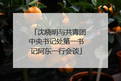 沈晓明与共青团中央书记处第一书记阿东一行会谈