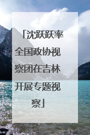 沈跃跃率全国政协视察团在吉林开展专题视察