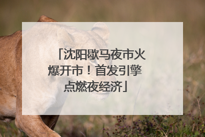 沈阳歇马夜市火爆开市！首发引擎点燃夜经济
