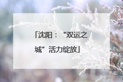 沈阳：“双运之城”活力绽放