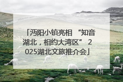 沔阳小镇亮相 “知音湖北，相约大湾区” 2025湖北文旅推介会