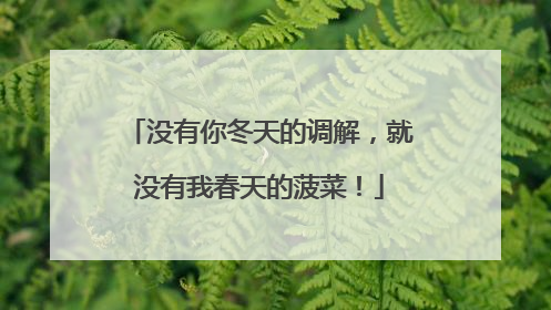 没有你冬天的调解，就没有我春天的菠菜！