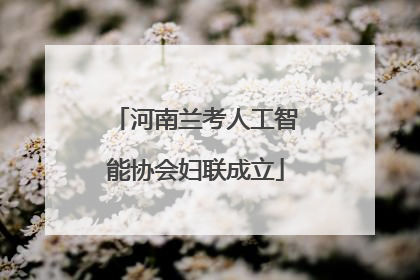 河南兰考人工智能协会妇联成立