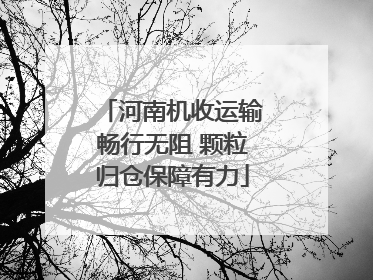 河南机收运输畅行无阻 颗粒归仓保障有力