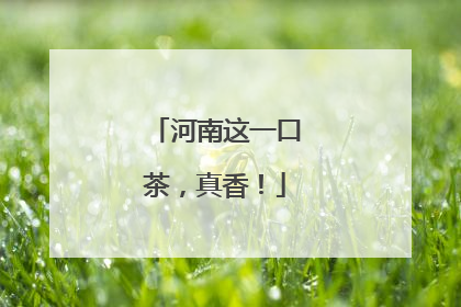 河南这一口茶，真香！