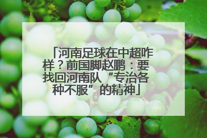 河南足球在中超咋样？前国脚赵鹏：要找回河南队“专治各种不服”的精神