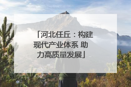 河北任丘：构建现代产业体系 助力高质量发展