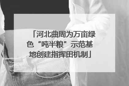 河北曲周为万亩绿色“吨半粮”示范基地创建指挥田机制