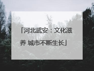 河北武安：文化滋养 城市不断生长