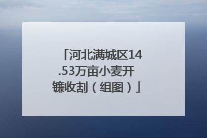 河北满城区14.53万亩小麦开镰收割（组图）
