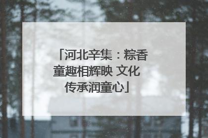 河北辛集：粽香童趣相辉映 文化传承润童心