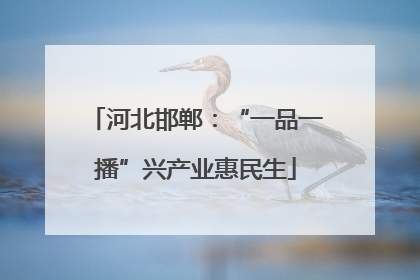 河北邯郸：“一品一播”兴产业惠民生