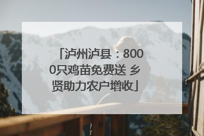 泸州泸县：8000只鸡苗免费送 乡贤助力农户增收