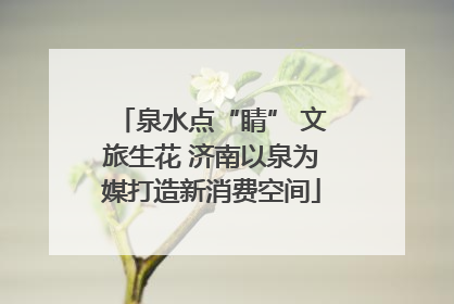 泉水点“睛” 文旅生花 济南以泉为媒打造新消费空间