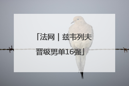 法网｜兹韦列夫晋级男单16强