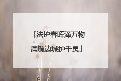 法护春晖泽万物 润毓边城护千灵