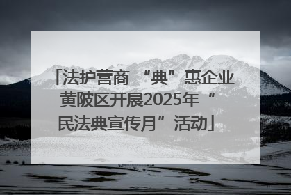 法护营商 “典”惠企业 黄陂区开展2025年“民法典宣传月”活动