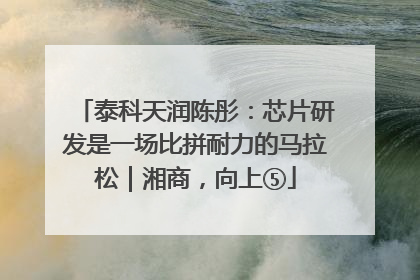 泰科天润陈彤：芯片研发是一场比拼耐力的马拉松｜湘商，向上⑤